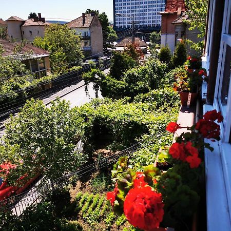 Apartament Hunter Apartment Cluj-Napoca Ngoại thất bức ảnh