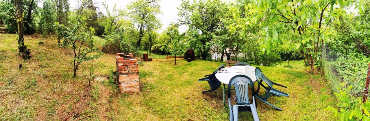 Apartament Hunter Apartment Cluj-Napoca Ngoại thất bức ảnh