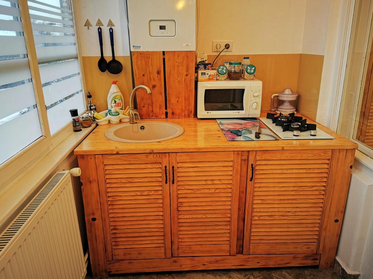 Apartament Hunter Apartment Cluj-Napoca Ngoại thất bức ảnh