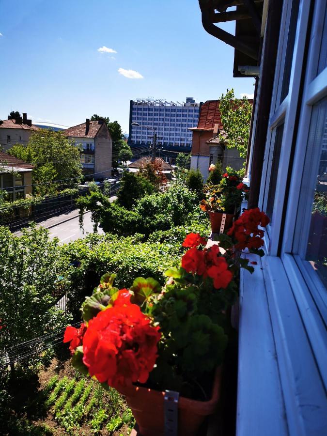 Apartament Hunter Apartment Cluj-Napoca Ngoại thất bức ảnh