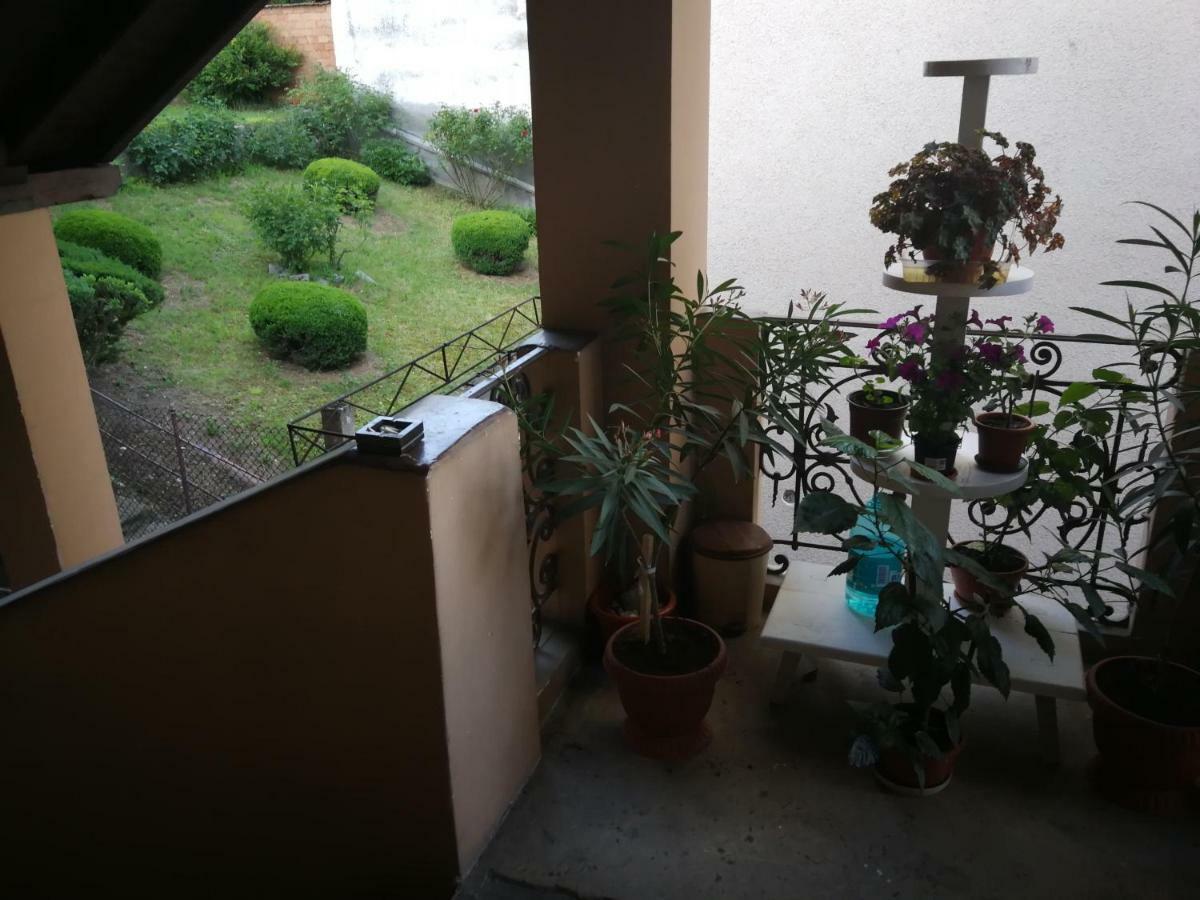 Apartament Hunter Apartment Cluj-Napoca Ngoại thất bức ảnh