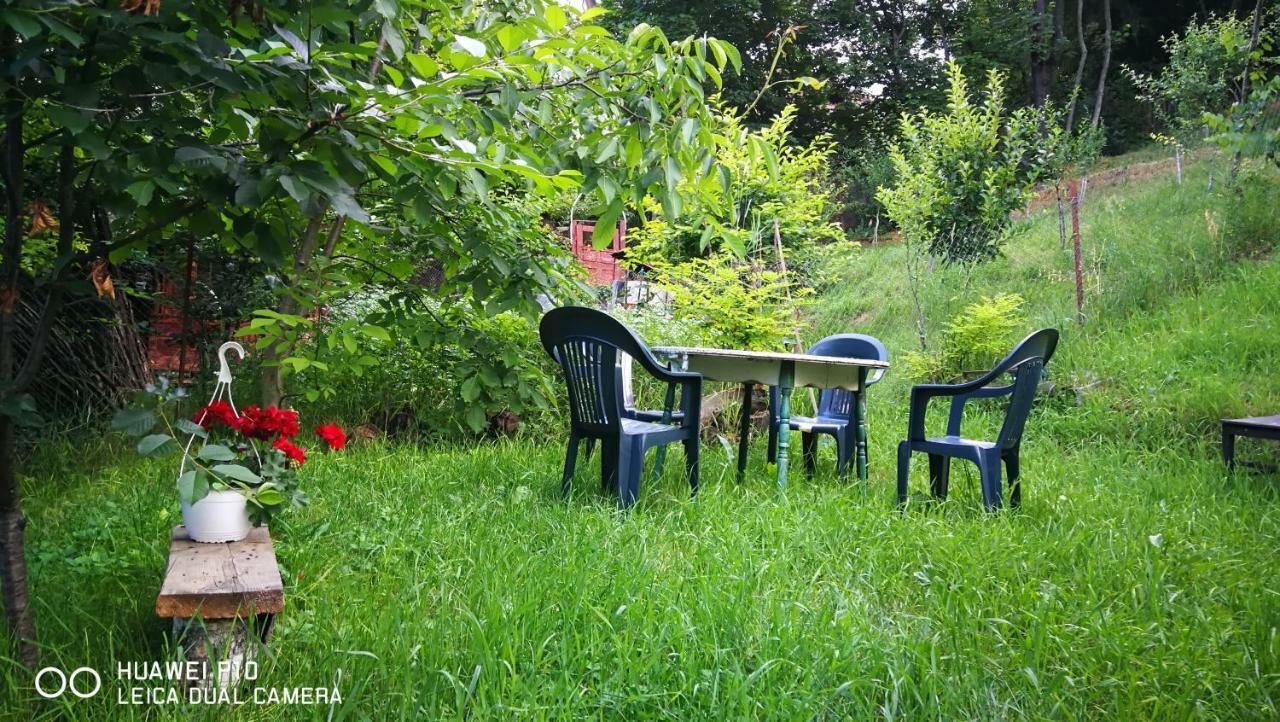 Apartament Hunter Apartment Cluj-Napoca Ngoại thất bức ảnh