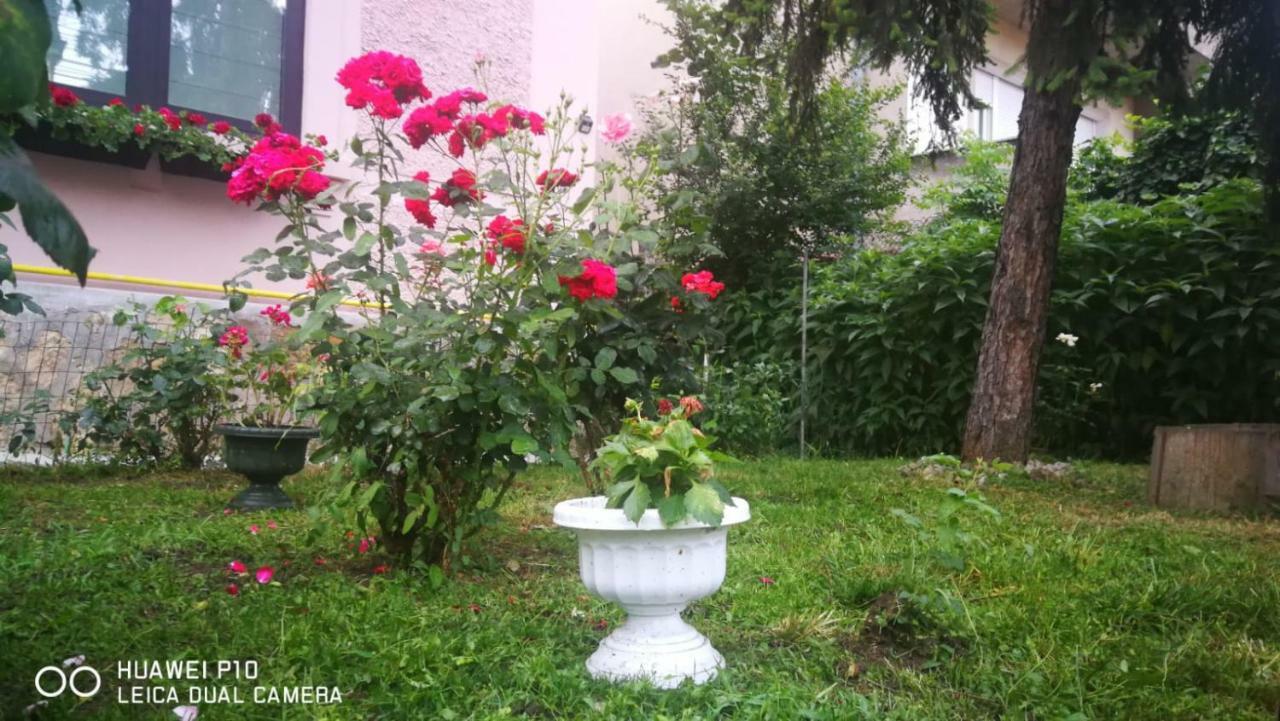 Apartament Hunter Apartment Cluj-Napoca Ngoại thất bức ảnh