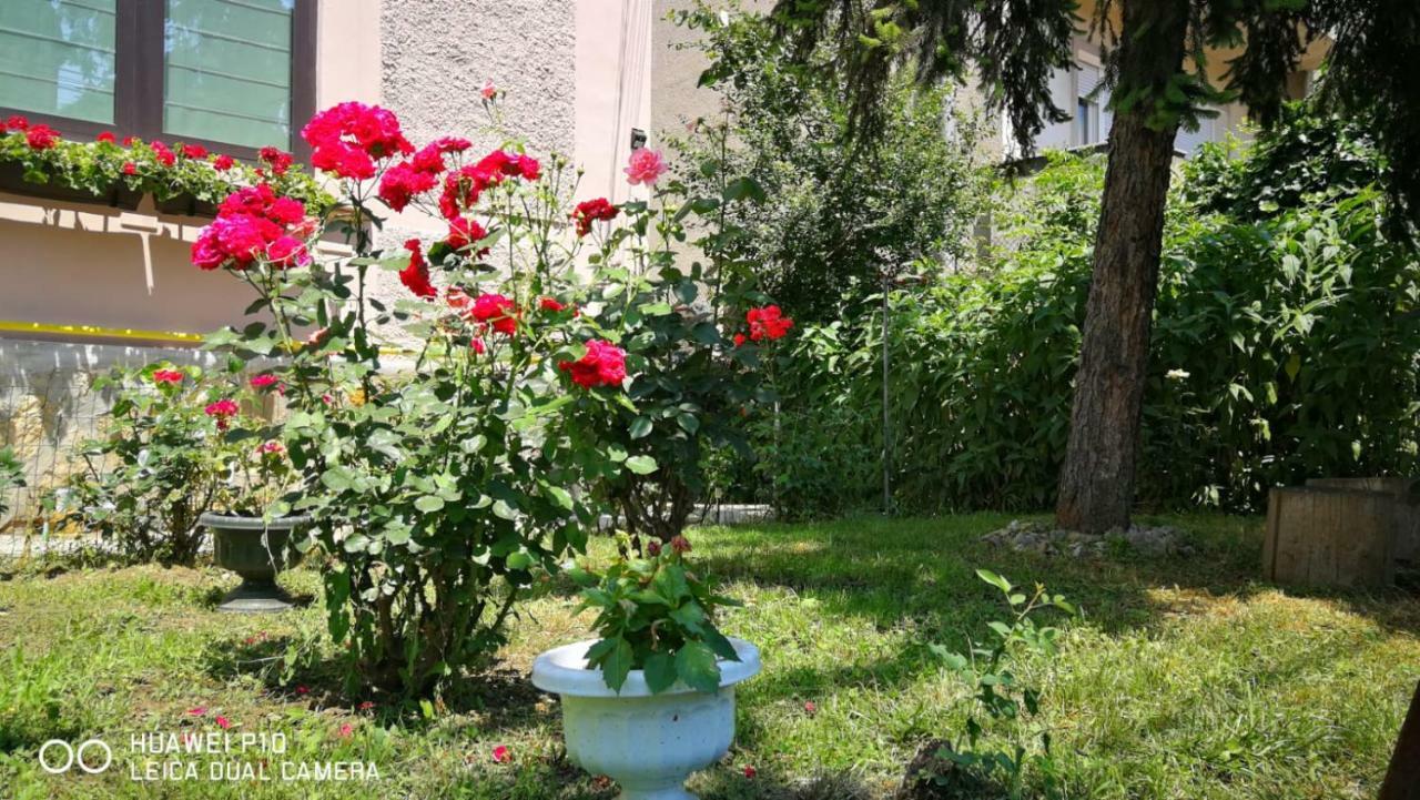 Apartament Hunter Apartment Cluj-Napoca Ngoại thất bức ảnh