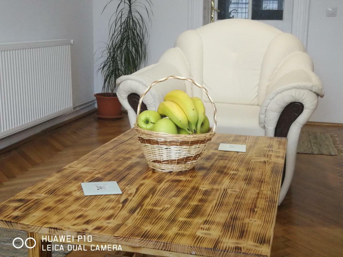 Apartament Hunter Apartment Cluj-Napoca Ngoại thất bức ảnh