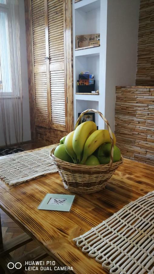 Apartament Hunter Apartment Cluj-Napoca Ngoại thất bức ảnh