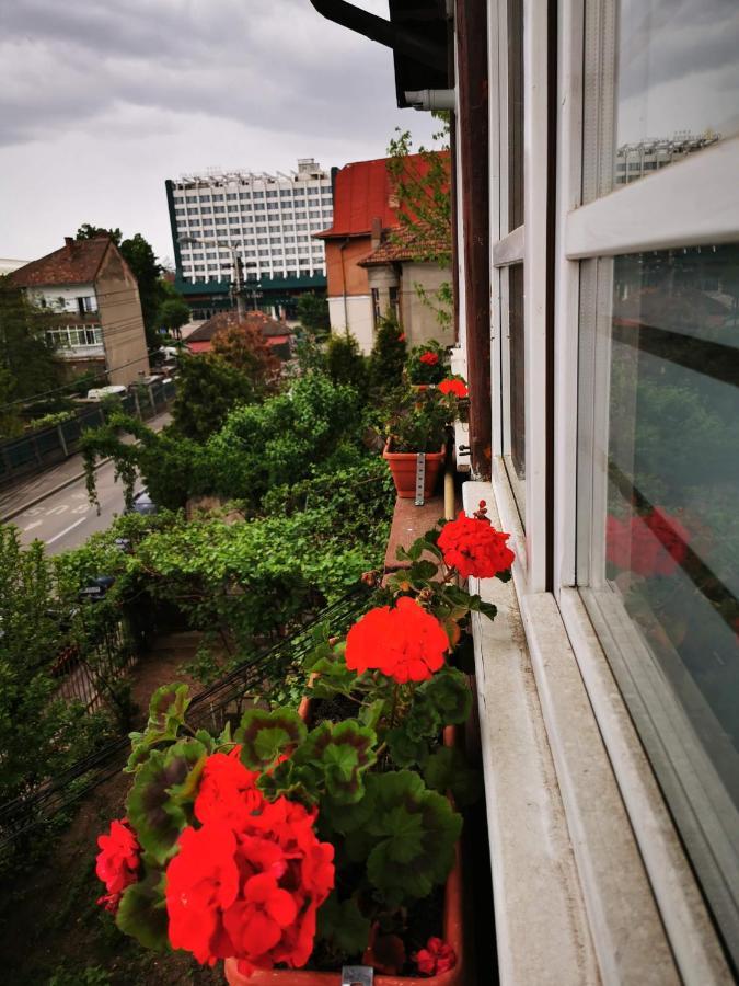 Apartament Hunter Apartment Cluj-Napoca Ngoại thất bức ảnh